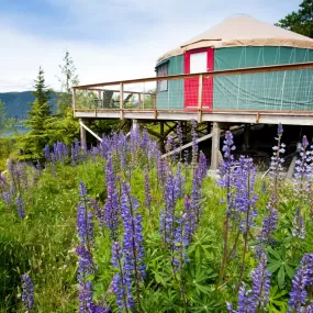 Soule-creek-lodge-yurt-exterior